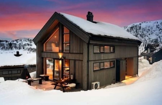 New modern cabin ski in/out, fireplace & mountain view
