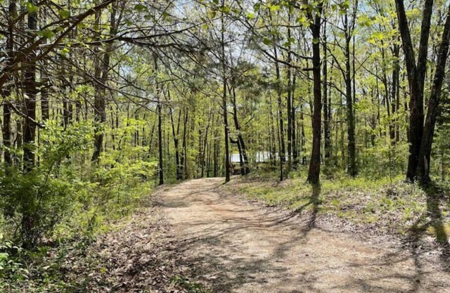 Secluded Ozark Home at Roaring River Park Near Eureka Springs and Bentonville AR
