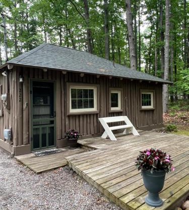 New! The Higgins Lake Hideaway - Super Cute!