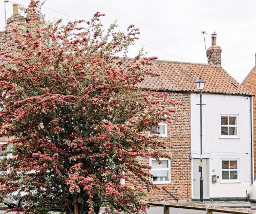 NEW Thirsk Stays - Herriot's Hideaway