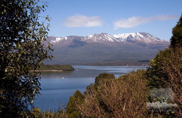 Nueva White Water Lodge 二 Turangi