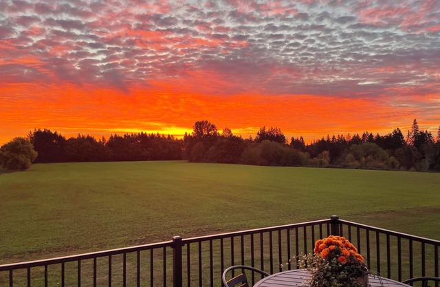 Newly built 2-bedroom farmhouse in charming McMinnville, Oregon