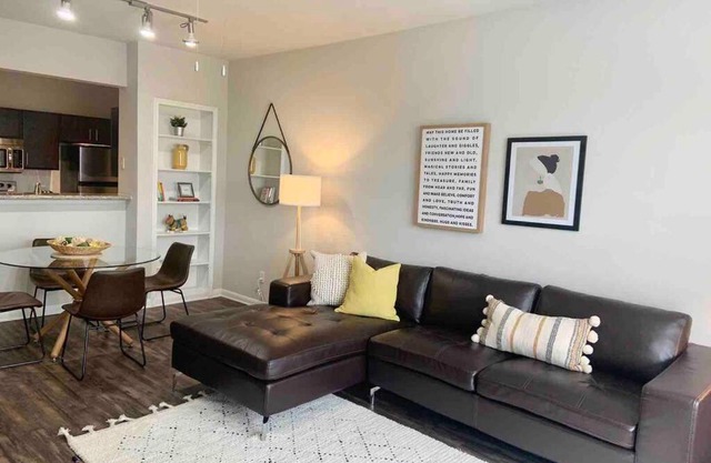 Newly Furnished 1BR Apartment w/Hermann Park View