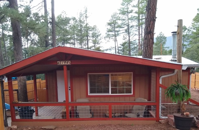 Newly remodeled cabin in the pines w/ firepit, redwood fenced yard, close hiking