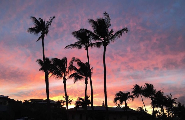 Newly renovated 2nd floor condo — 150 yards from Mama’s Beach!