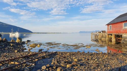 Newly renovated apartment in beautiful Haramsøy