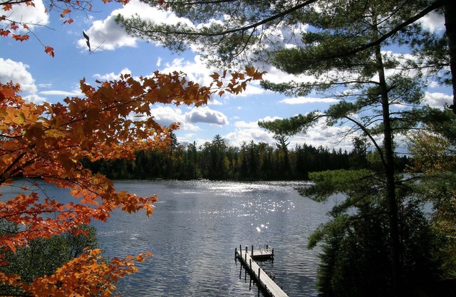 Lindo (mascotas) Cottage en Crooked Lake - aka, oso del bebé