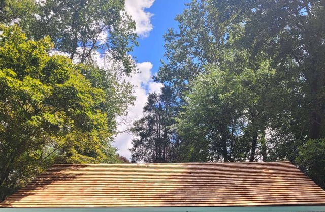 Newly renovated studio with private pool