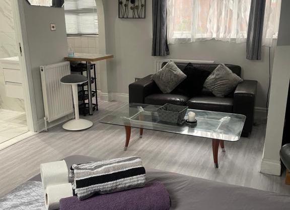 Newly renovated studio in Acton