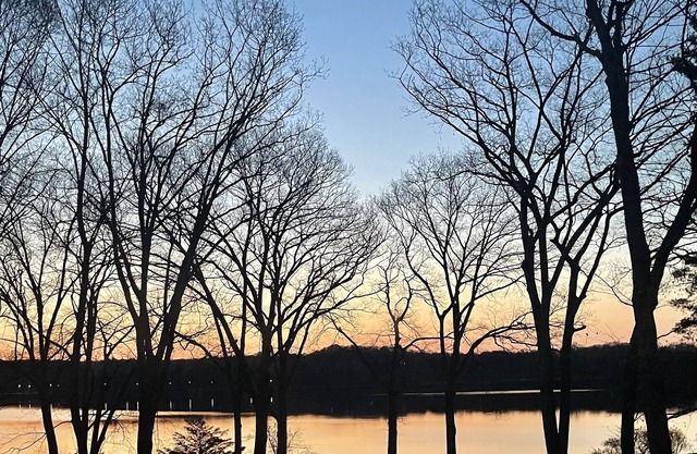 Newly renovated Waterfront Lake House - private beach - minutes from T to Boston