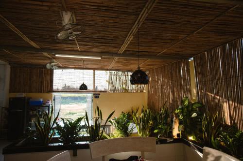 Nhà Yên Homestay