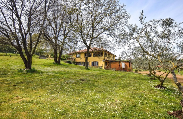 Bonito apartamento en Monterosi con.