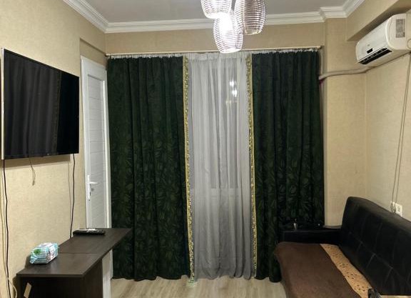 Nice apartment on Tsereteli street
