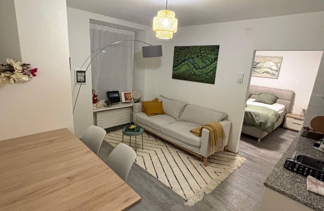 Nice apartment with WiFi&Self Check-In in Center of Zürich