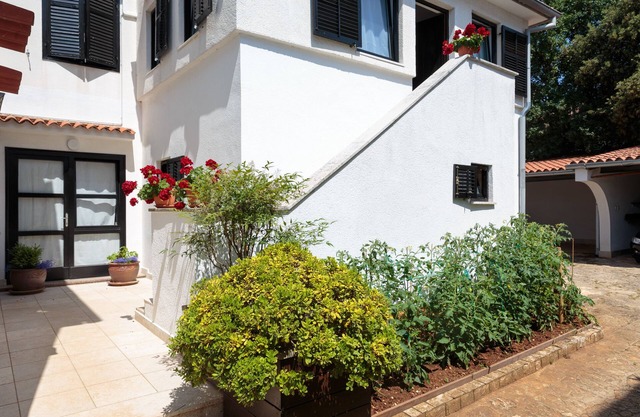 Nice Cozy Apartments C52