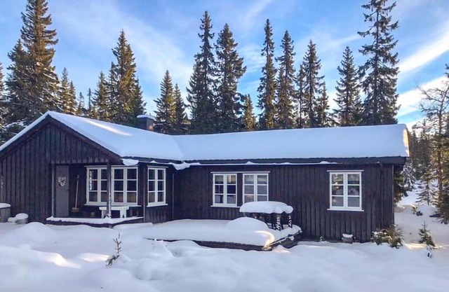 Nice Home In Sjusjøen With Wifi