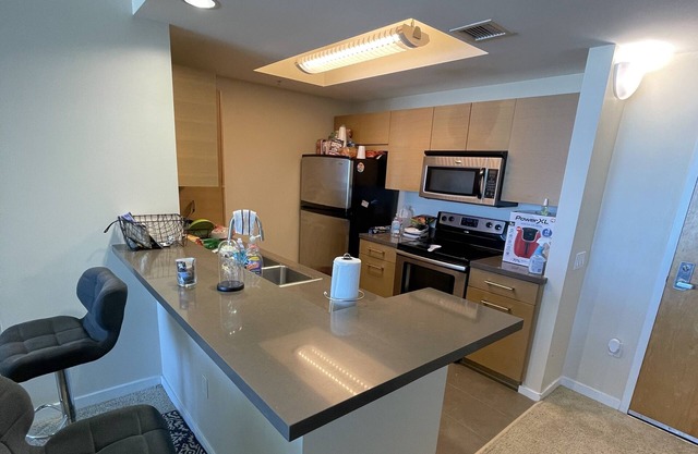 Nice luxury 2bed 2 baths condo with patio/balcony