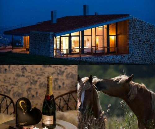 Niditas Suites & Horses