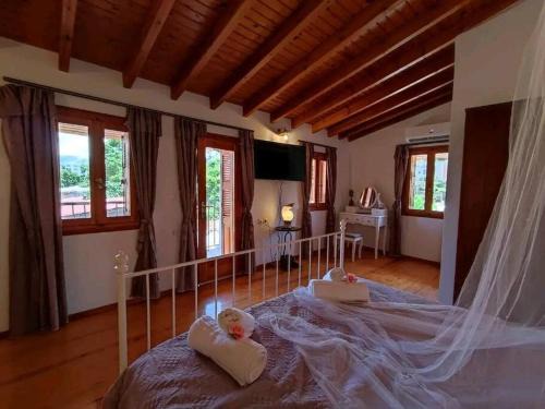 Nikόla's House