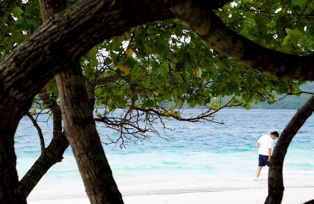 NIKKI Peucang Resort