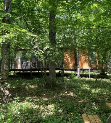 Nina's winery forest house in Kiketi