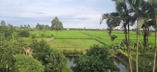 Ninh Binh Riverside Family Homestay