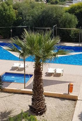 NISSI BEACH POOL VIEW APARTMENT FREE WIFI