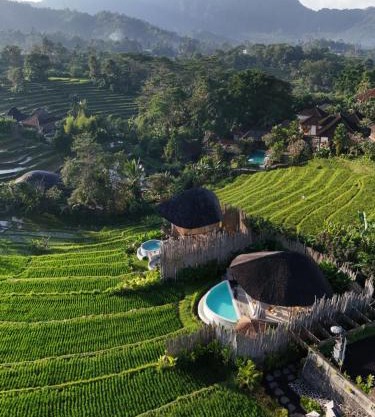 Nivriti Bali