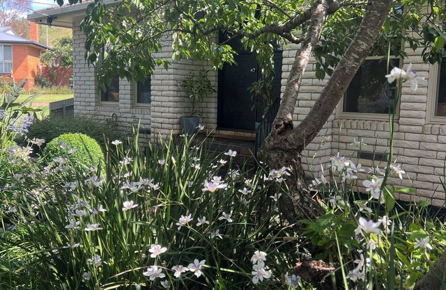 MOUNTVIEW residence is a gorgeous renovated house at the bottom of Mount Leura.