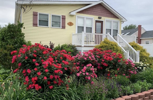 Delightful DOG FRIENDY Vacation Home by the Bay for Couples and Families.