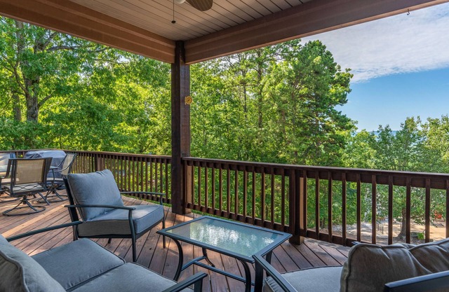 No cleaning fee book by 05/05 ! Mountain View’s!Large patio, grill,movie room.