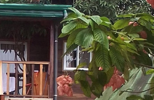 Cabin