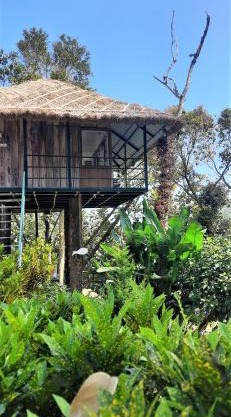 Noah's Nest Tree House