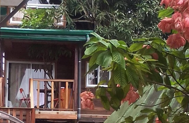 Casa del árbol-Familiar-Baño con ducha-Vista al Jardín