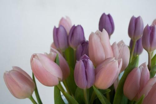 Nodaris guesthous