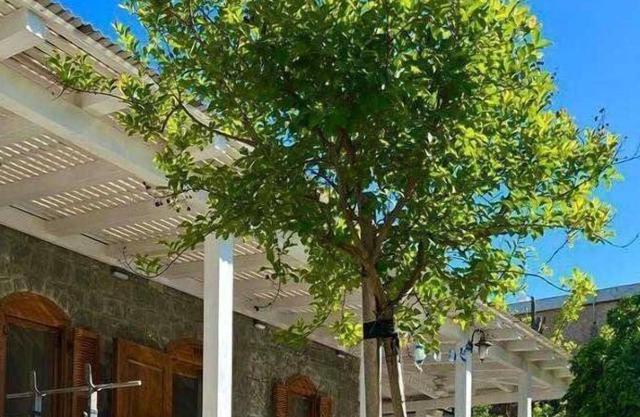 Noga Resort- resort & villa North Israel