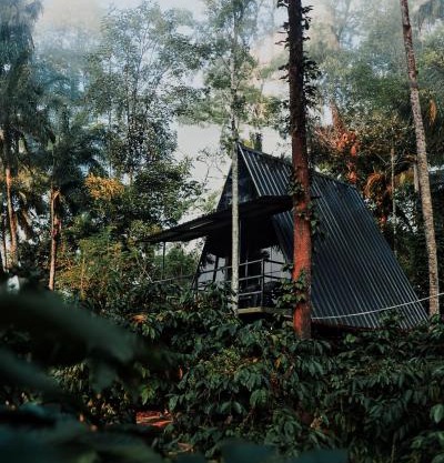 Nomad's Arc Wayanad