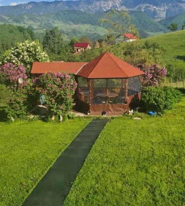 Nona Highland Home