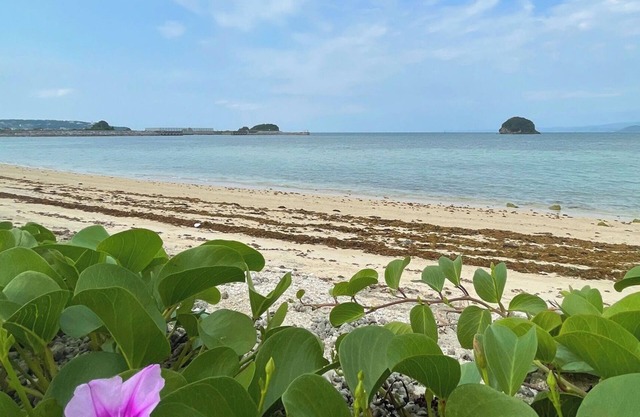 Nonsmoking Multiple nights discountRoom only / Nago Okinawa
