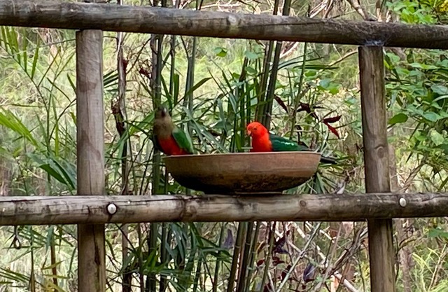 Noosa Hinterland Retreat