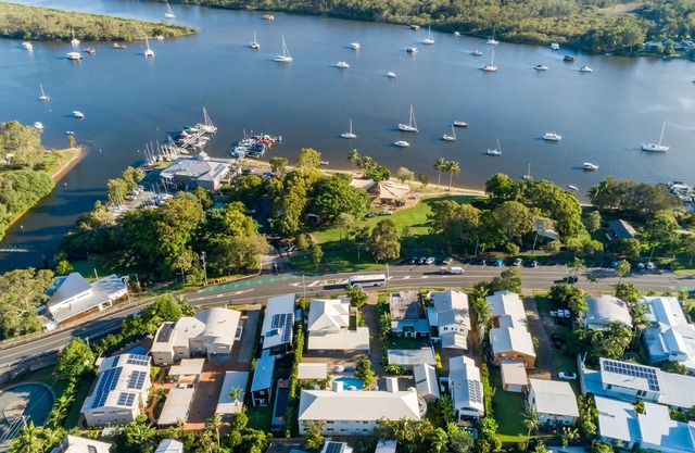 Noosa River Palms