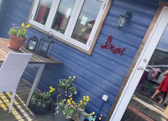 Norsk bjælkehytte med fibernet