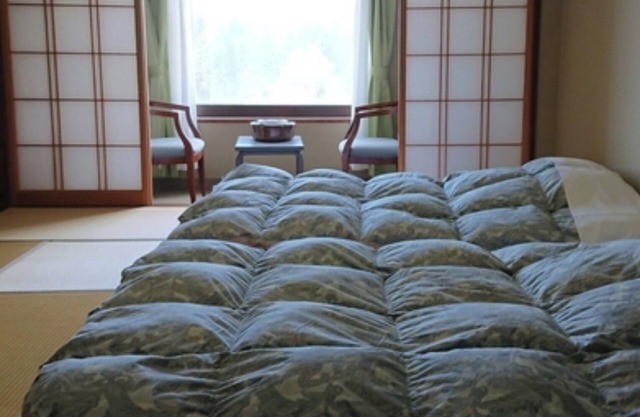 North Wing Tatami Bedroom Nonsmoking One nigh / Toyama Toyama