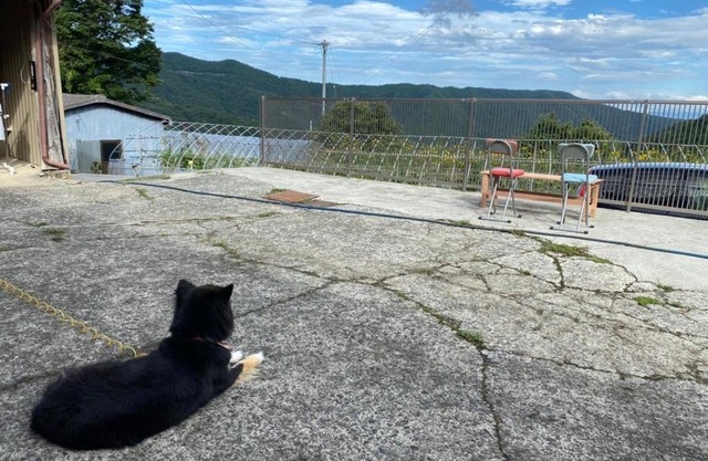 Nouka Minsyuku Nakajima - Vacation STAY 99829