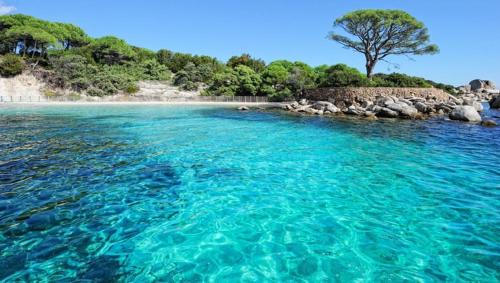 NOUVEL LOCATION d'un Bel appart T2 climatisé et meublé au RDCh avec piscine dans residence les Melody