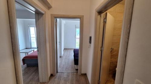 Novak apartment