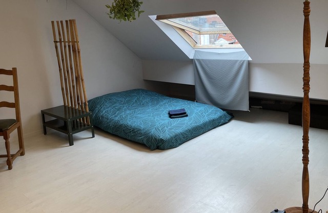 Novisa Attic Apartment
