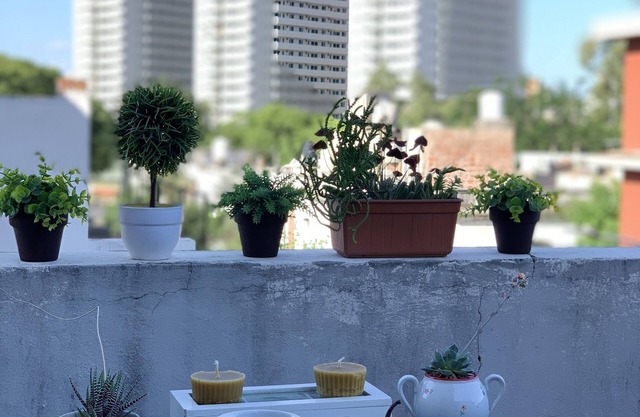 Novum Suites