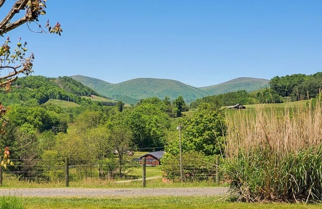NOW BOOKING MOUNTAIN TIME - Home Minutes From Downtown West Jefferson, F/P