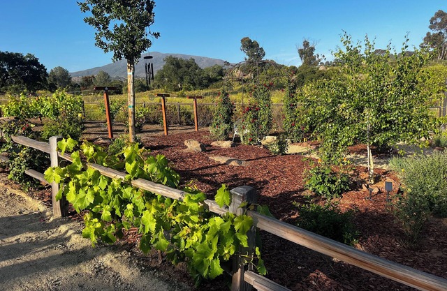 Oak Haven Garden Oasis